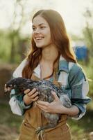 un contento joven mujer sonriente y participación un joven pollo ese pone huevos para su granja foto