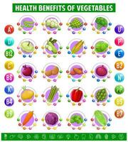 Chart table content of vitamins in vegetables vector