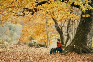 woman with backpack in the park and fallen leaves landscape Tall big tree autumn photo