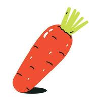 Check out flat icon of carrot vector