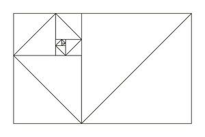 Golden ratio template. Fibonacci array, numbers. Method golden section. Outline vector illustration. Golden proportions.