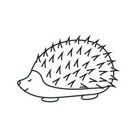 Vector illustration of a hedgehog in doodle style.