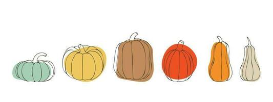 Pumpkin set for Thanksgiving or Halloween day. Pumpkins in various sizes and colors. For autumn designs. vector