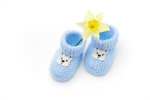 Top view pair of blue knitted baby socks with teddy bear and yellow daffodil flower, white background. Newborn clothing photo