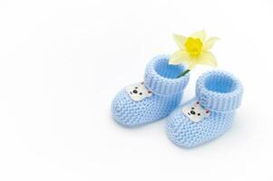 Top view of pair of blue knitted baby booties and yellow daffodil flower, isolated on white background. Newborn clothing photo