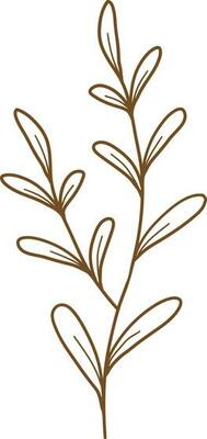 floral vector, outline, illustration, nature, flower, summer