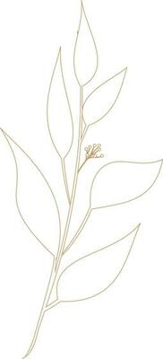floral vector, outline, illustration, nature, flower, summer