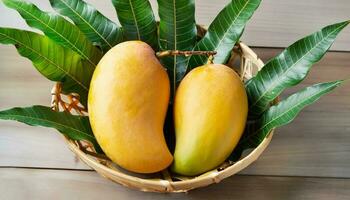 Mango fruit hanging on a tree with a rustic wooden table photo
