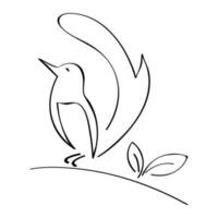 pájaro logo vector ilustración diseño