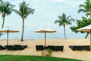 beach chair with palm tree on beach photo