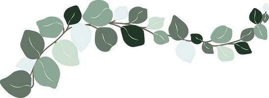 Eucalyptus leaf hand drawn vector