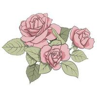 vector composición de delicado rosado rosas y verde hojas. ilustración para creando tarjetas, decoración, decoración, huellas dactilares, Boda invitaciones, etc.