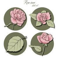 Vector set of round icons with roses. Colored symbols for the design of sites, applications, banners, widgets, decor, etc. Vector illustration