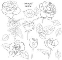 Floral set of delicate roses with leaves. A set of contour drawings for drawing up flower compositions for decoration, design of cards, textile, paper, prints, fabric, etc. Vector graphics.