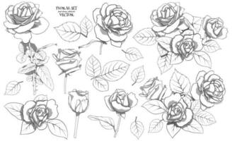 Floral set of delicate roses with leaves. A set of monochrome drawings for floral compositions for decoration, design postcards, textiles, paper, prints, fabric, etc. Vector graphics.