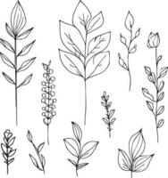 botanical line art. wildflower botanical line art, vintage botanical line drawing, botanical illustration botanical line drawing, simple botanical line drawing, simple botanical flower drawings. vector