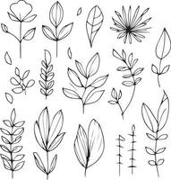 Botanical element, botanical line drawing, vintage botanical coloring pages, botanical elements, botanical flower illustration, botanical illustration black and white, botanical line drawing leaves, vector