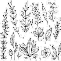 Botanical element, botanical line drawing, vintage botanical coloring pages, botanical elements, botanical flower illustration, botanical illustration black and white, botanical line drawing leaves, vector