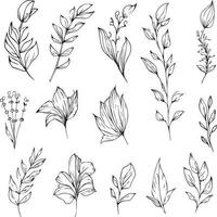 Set of a decorative stylized botanical flowers and leafs isolated on white background. Highly detailed botancal line drawing and doodling art, minimisis botanical tattoo design. vector