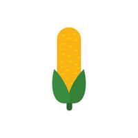 corn flat design vector illustration isolated on white background. organic logo vector organic agriculture corning field corncob ear farm