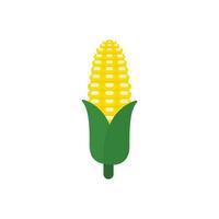 corn flat design vector illustration isolated on white background. organic logo vector organic agriculture corning field corncob ear farm