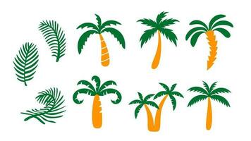 Palm Tree vector set