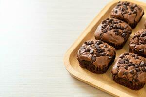 dark chocolate brownies topped by chocolate chips photo