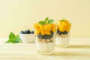 homemade mango and blueberry with yogurt and granola photo