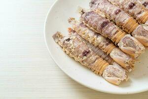 steamed crayfish or mantis shrimps or stomatopods photo