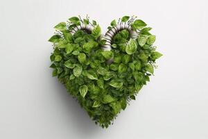 human heart made of fresh green leaves on white background photo