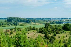 rural paisaje de tatarstán verde colinas con arboles y prados, parte superior ver foto