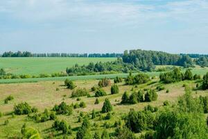 Rural landscape of Tatarstan. Green hills with trees and meadows, top view photo