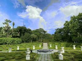 natural jardín parque foto