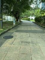natural garden park photo