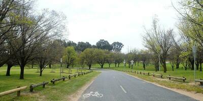 Beautiful country road  near meadow park photo