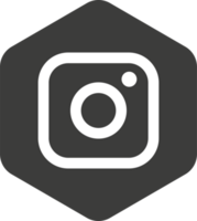 instagram logo icona, sociale media icona png