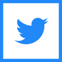 Twitter logo icône, social médias icône png