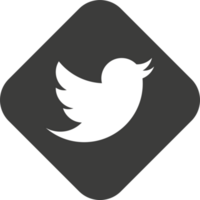 gorjeo logo icono, social medios de comunicación icono png