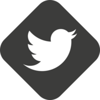 Twitter logo icon, social media icon png