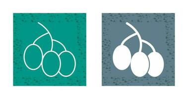 grapes vector Icon