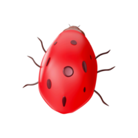 3D Rendering Of Ladybug Element. png