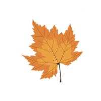 illustrazione di autunno le foglie per un elemento o Di Più png