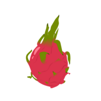 Dragon fruit illustrations can be used for symbols or elements png