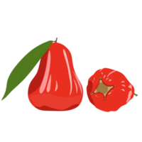 illustration of two red rose apples with their green leaves png