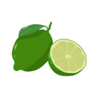 Illustration of whole and sliced lime png