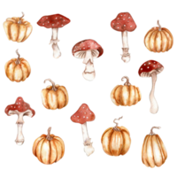 Watercolor hand drawn autumn pumpkins and mushrooms. Hand drawn illustration of autumn. Perfect for scrapbooking, kids design, wedding invitation, posters, greetings cards, party decoration. png