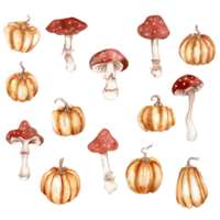 aquarelle main tiré l'automne citrouilles et champignons. main tiré illustration de l'automne. parfait pour scrapbooking, des gamins conception, mariage invitation, affiches, salutations cartes, fête décoration. png