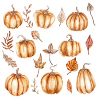 waterverf hand- getrokken herfst bladeren en pompoenen. hand- getrokken illustratie van herfst. perfect voor scrapbooken, kinderen ontwerp, bruiloft uitnodiging, affiches, groeten kaarten, partij decoratie. png