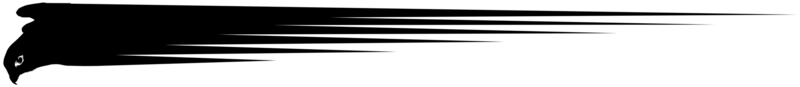 deformação do a vôo pássaro do presa silhueta, falcão ou Falcão, para logotipo, pictograma, local na rede Internet, arte ilustração, ou gráfico Projeto elemento. formato png