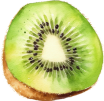 Kiwi frutta acquerello. ai generato png